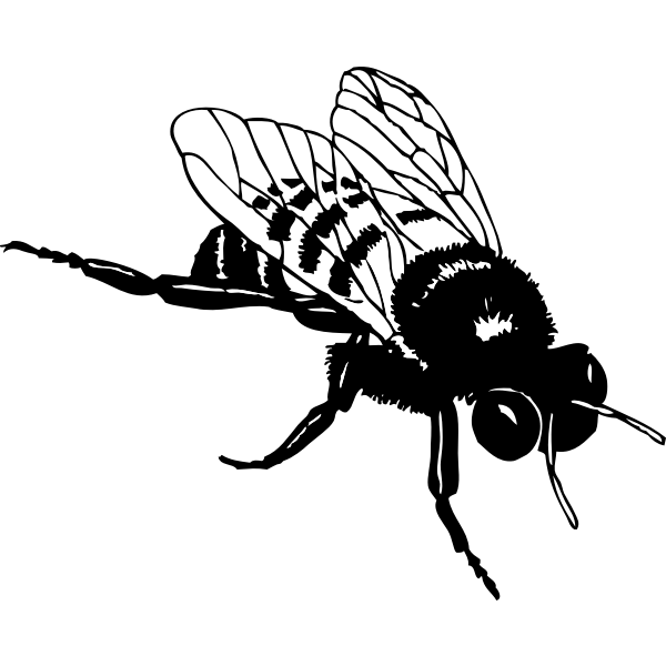 Free Silhouette Bumble Bee Svg