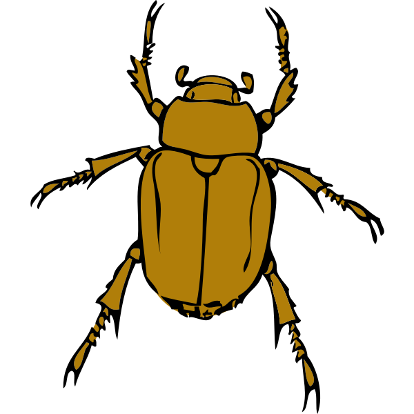 chafer bug