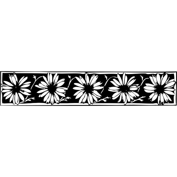 Vector drawing of daisy decorative border