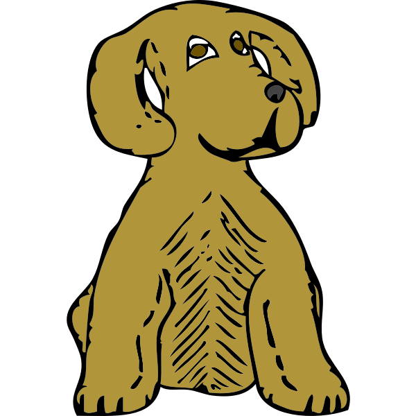 dog front view