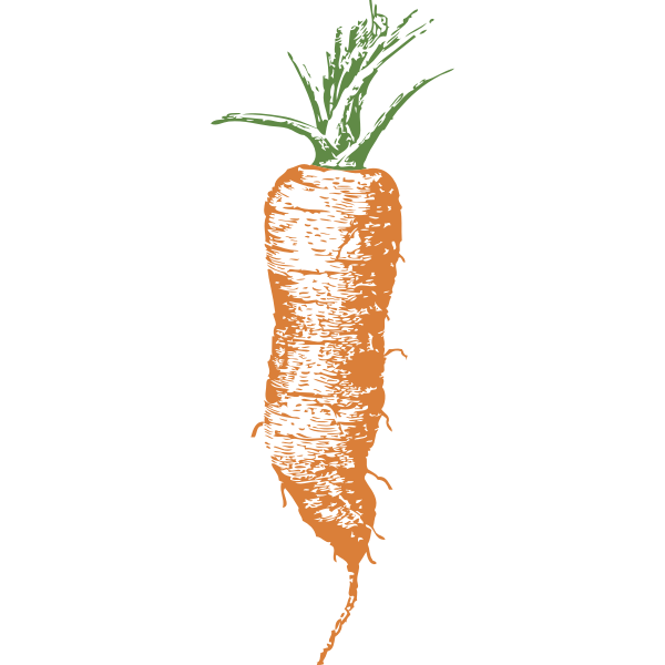 half long carrot