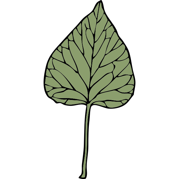 ivy leaf 6