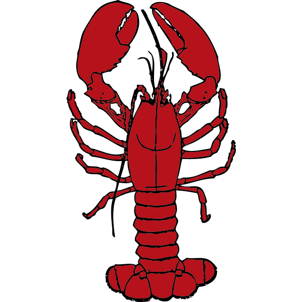 Vector drawing of lobster | Free SVG