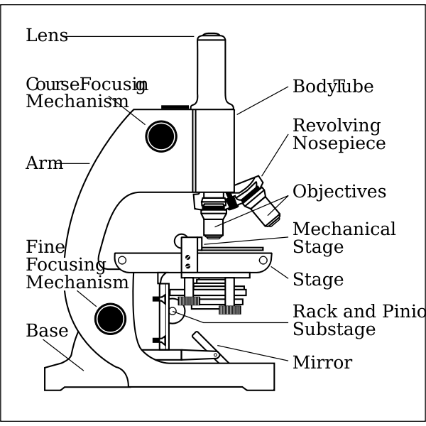 Microscope side vector drawing with parts labelled | Free SVG