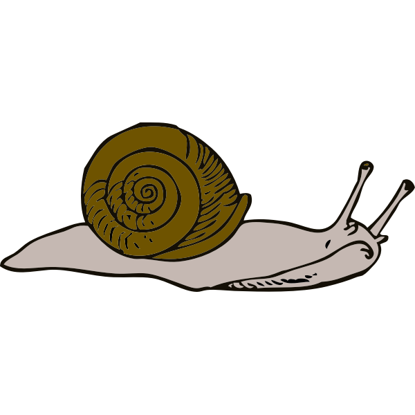 Vector illustration of snail