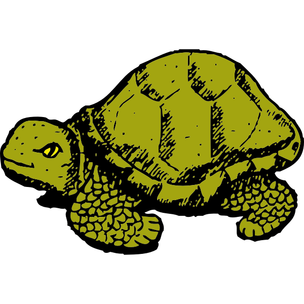 tortoise | Free SVG
