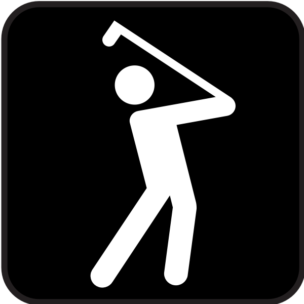 Pictogram for a golf pitch vector image