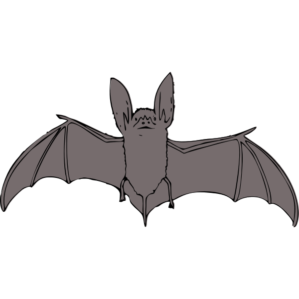 Bat with open wings vector drawing