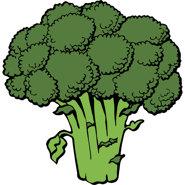 Vector image of broccoli