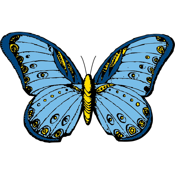 Download Blue and yellow butterfly vector clip art | Free SVG