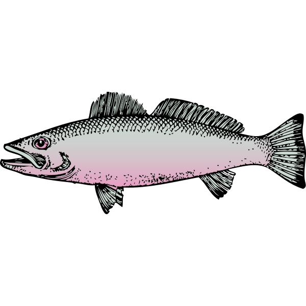 Download Fish Vector Graphics Free Svg