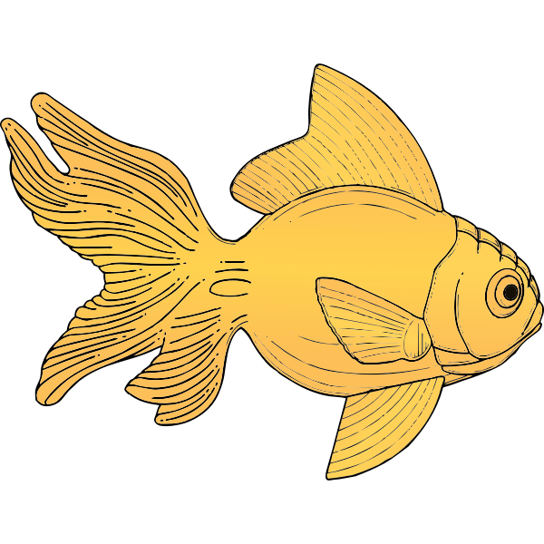 Generic orange fish vector illustration