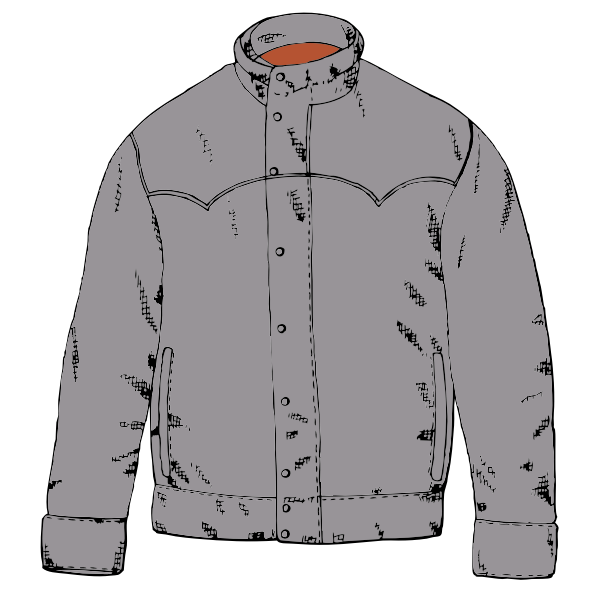 Jacket vector image