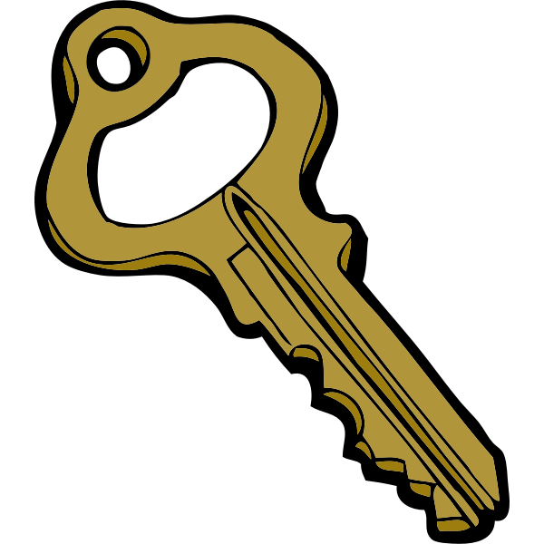 Old style hollow door key vector image