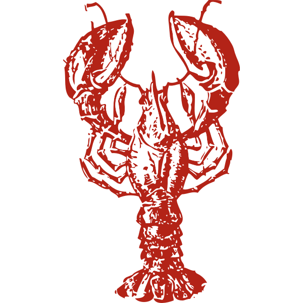 Lobster vector image