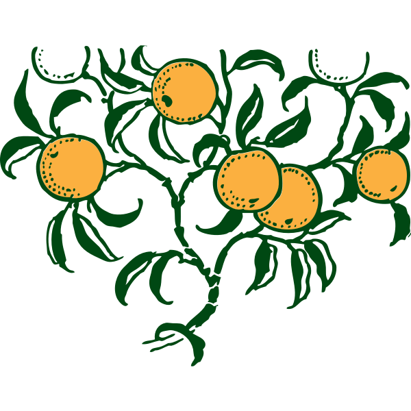 Orange branch vector graphics