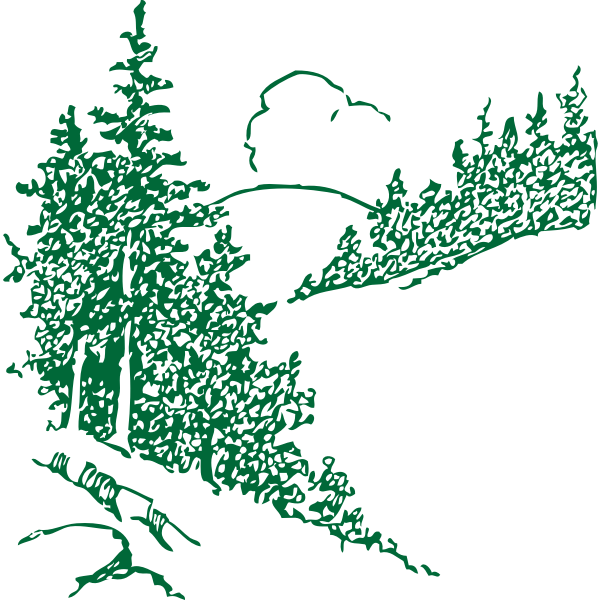 Pines in the mountain vector image