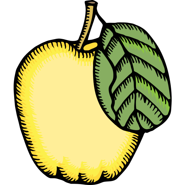Vector Image Of Quince Free Svg.