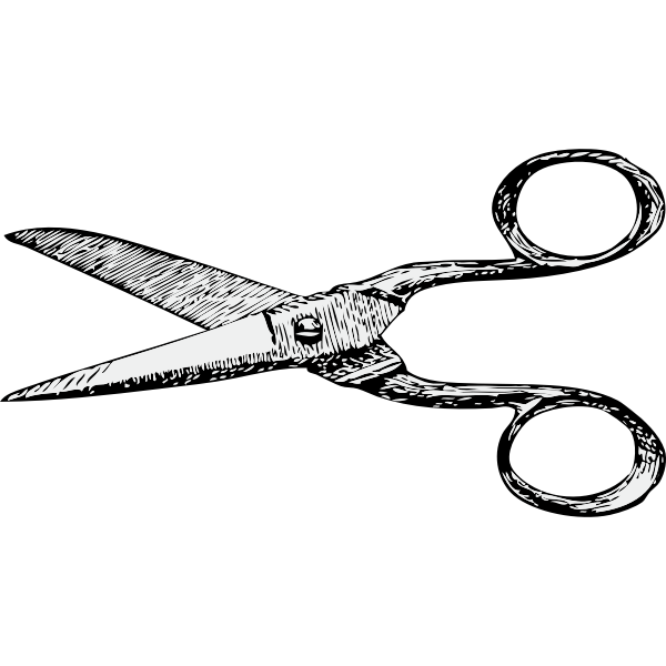 Scissors vector image