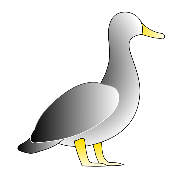 Jonathon's Duck