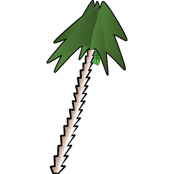 leaning palm tree