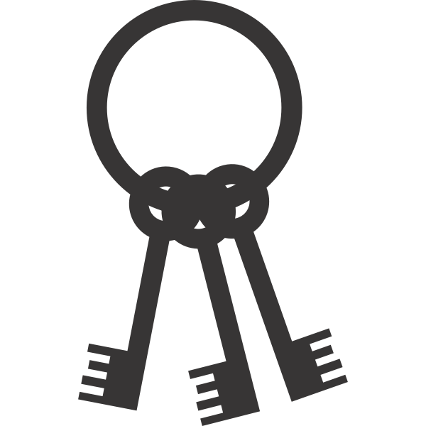 Keys on a ring silhouette vector image