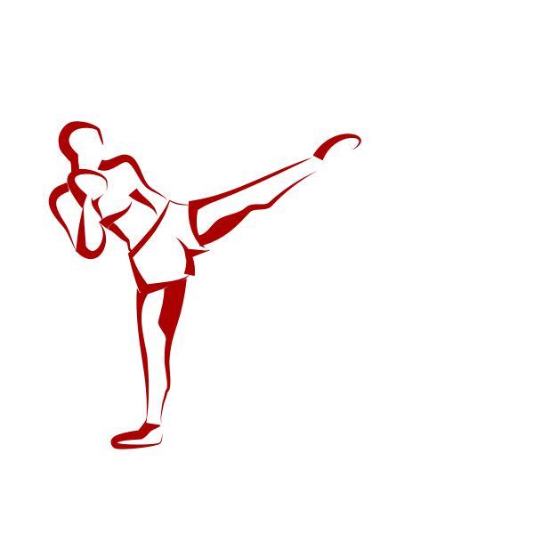 Kick boxer vector image