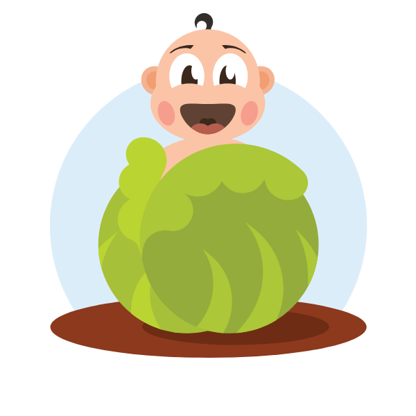 Kid with a cabbage