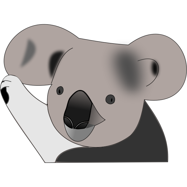 Funny koala bear vector image