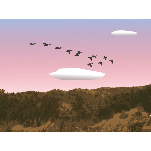 Geese over forest