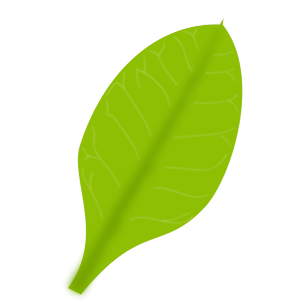 Green banana leaf | Free SVG