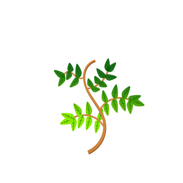 Spring Leaves On A Branch Free Svg