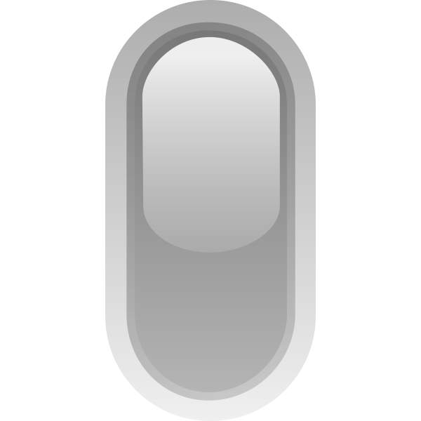 Upright pill shaped grey button vector image