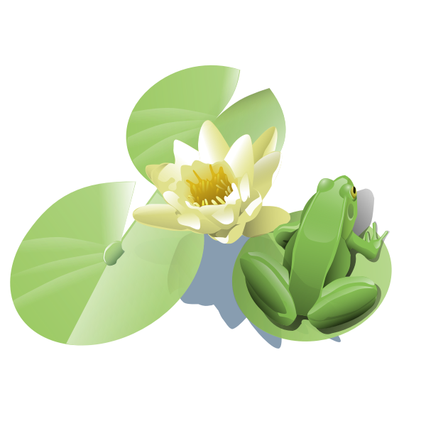 Frog on a lily pad vector