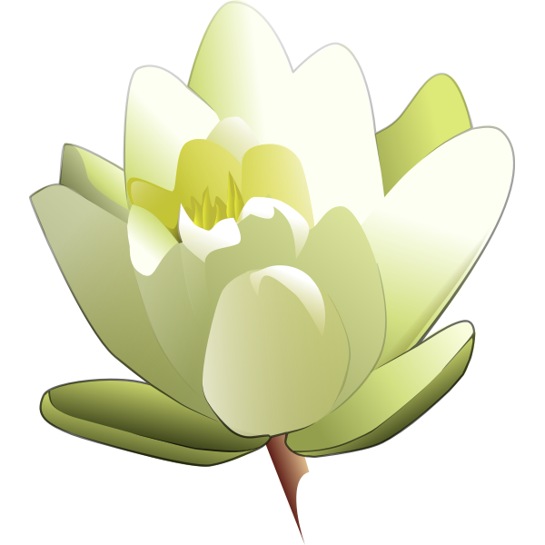 Free Free Lily Flower Svg Free 332 SVG PNG EPS DXF File