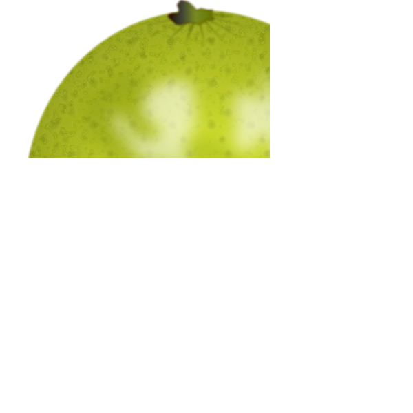 Lime vector image