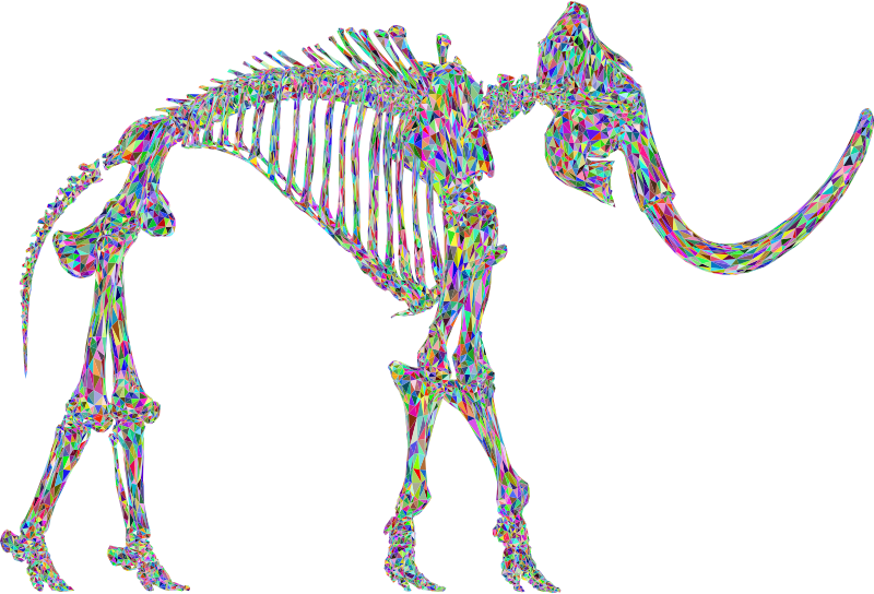 Mammoth Skeleton 3D Colorful Pattern