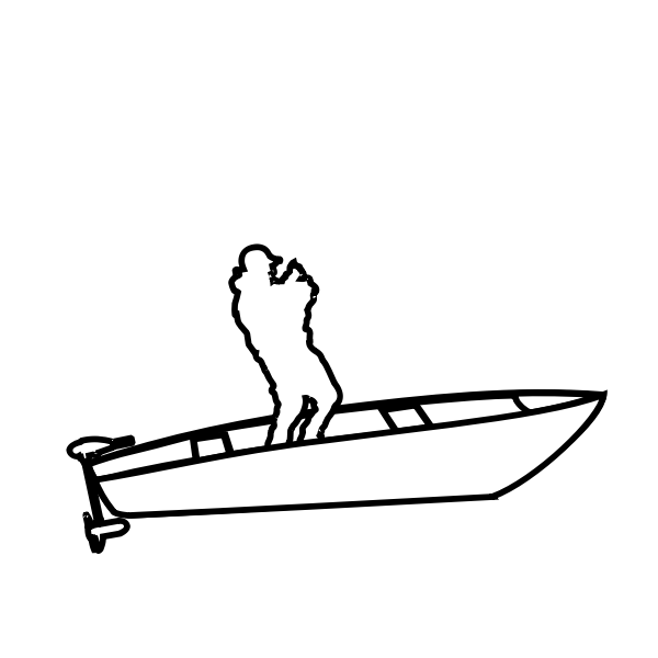 man fishing in boat silhouette