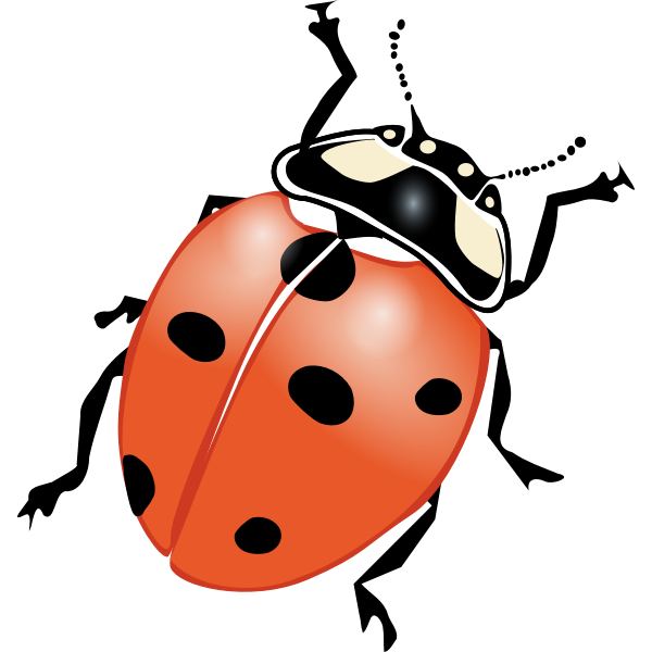 Ladybug vector graphics