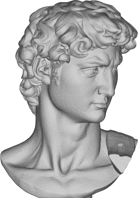 Michelangelos David Bust 3D