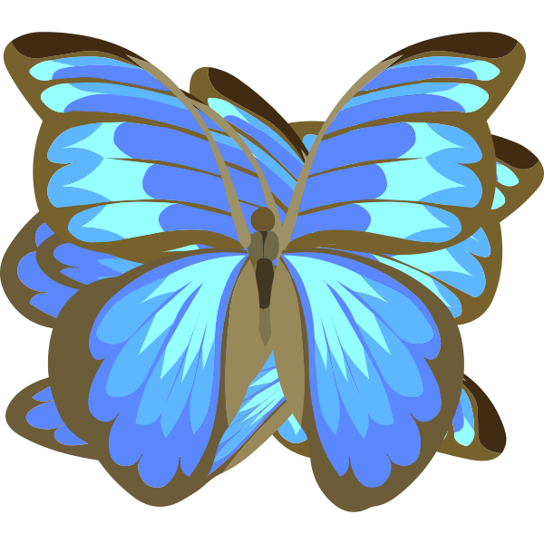 Blue butterfly drawing