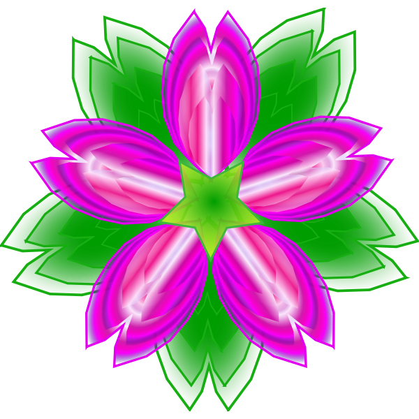 Indian Lotus vector illustration