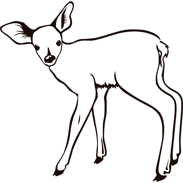 Fawn outline vector illustration