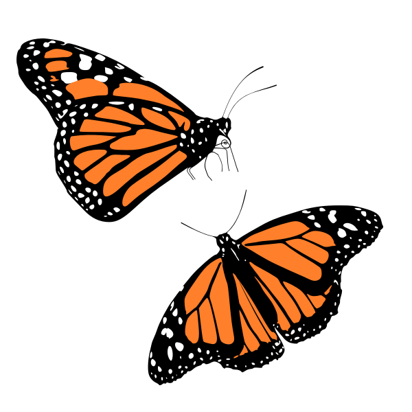 clipart monarch butterfly