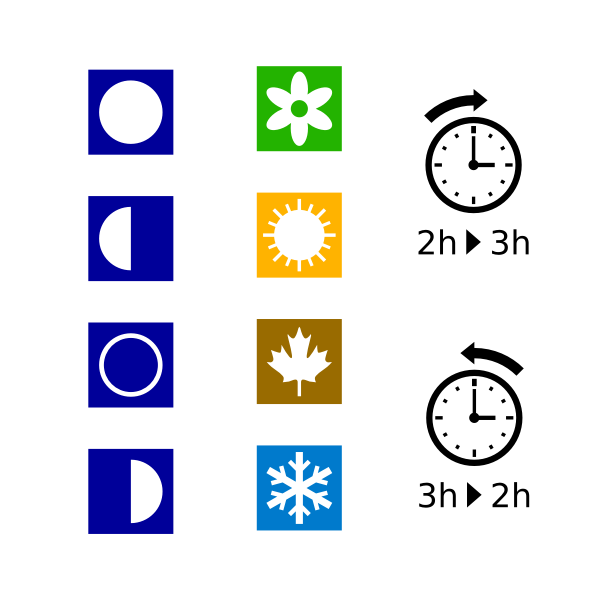 Moon phases, seasons & DST symbols vector image