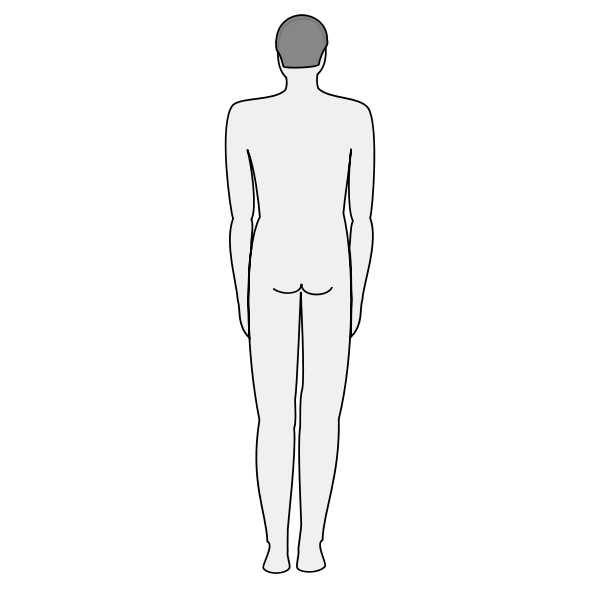 Male body silhouette - back