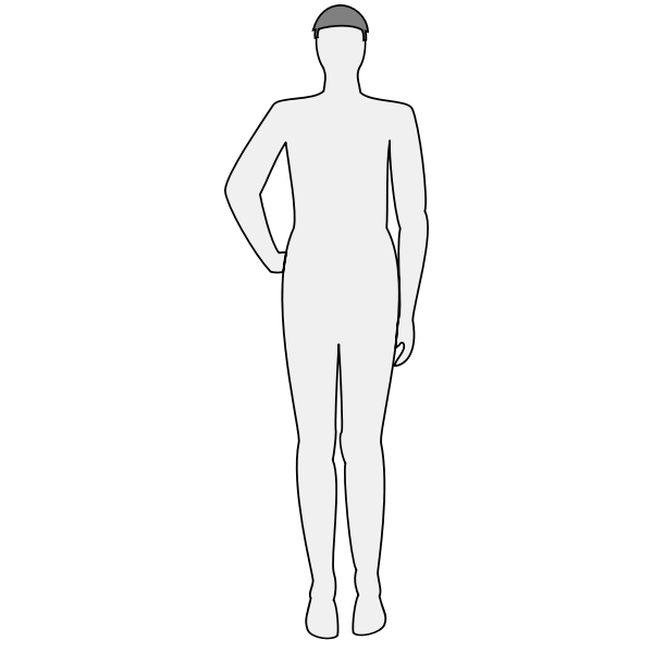 Download Human Body Silhouette Vectpr Free Svg