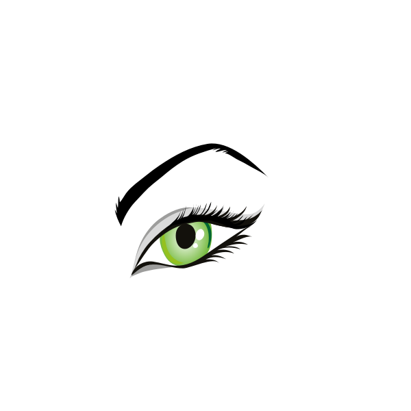 Vector image of ladies green eye with eyebrows