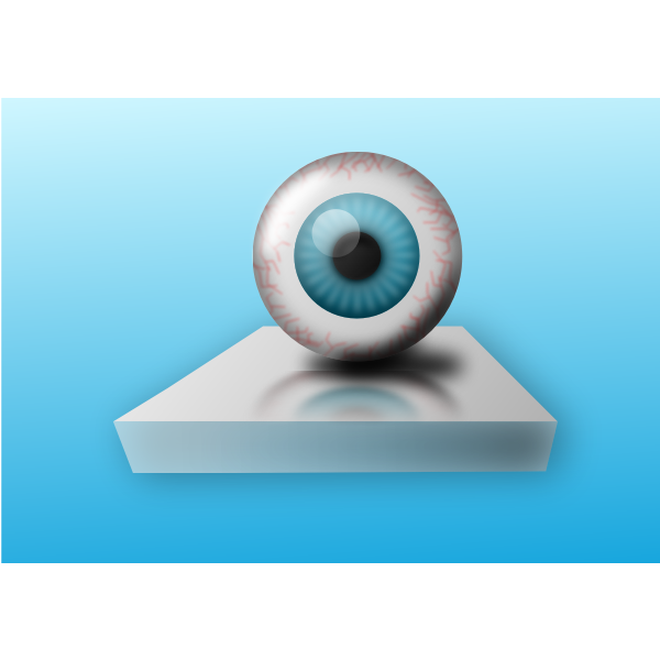 Blue eye on stand vector image