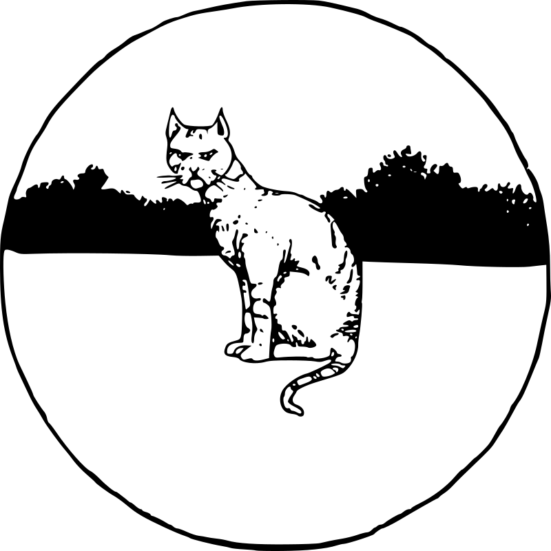 Cat in a Circle